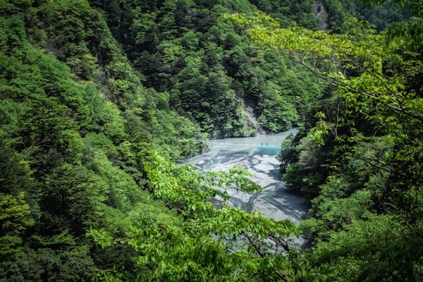 绿源环保公益短剧《地球守护者》 - 短剧网2客户案例展示